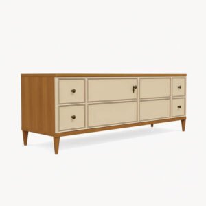 Organizational Cabinet