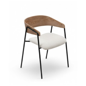 Chair - Dining chair