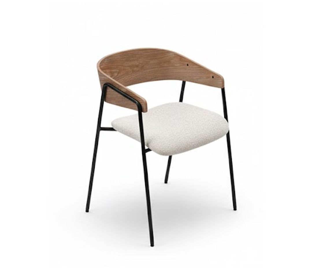 Chair - Dining chair